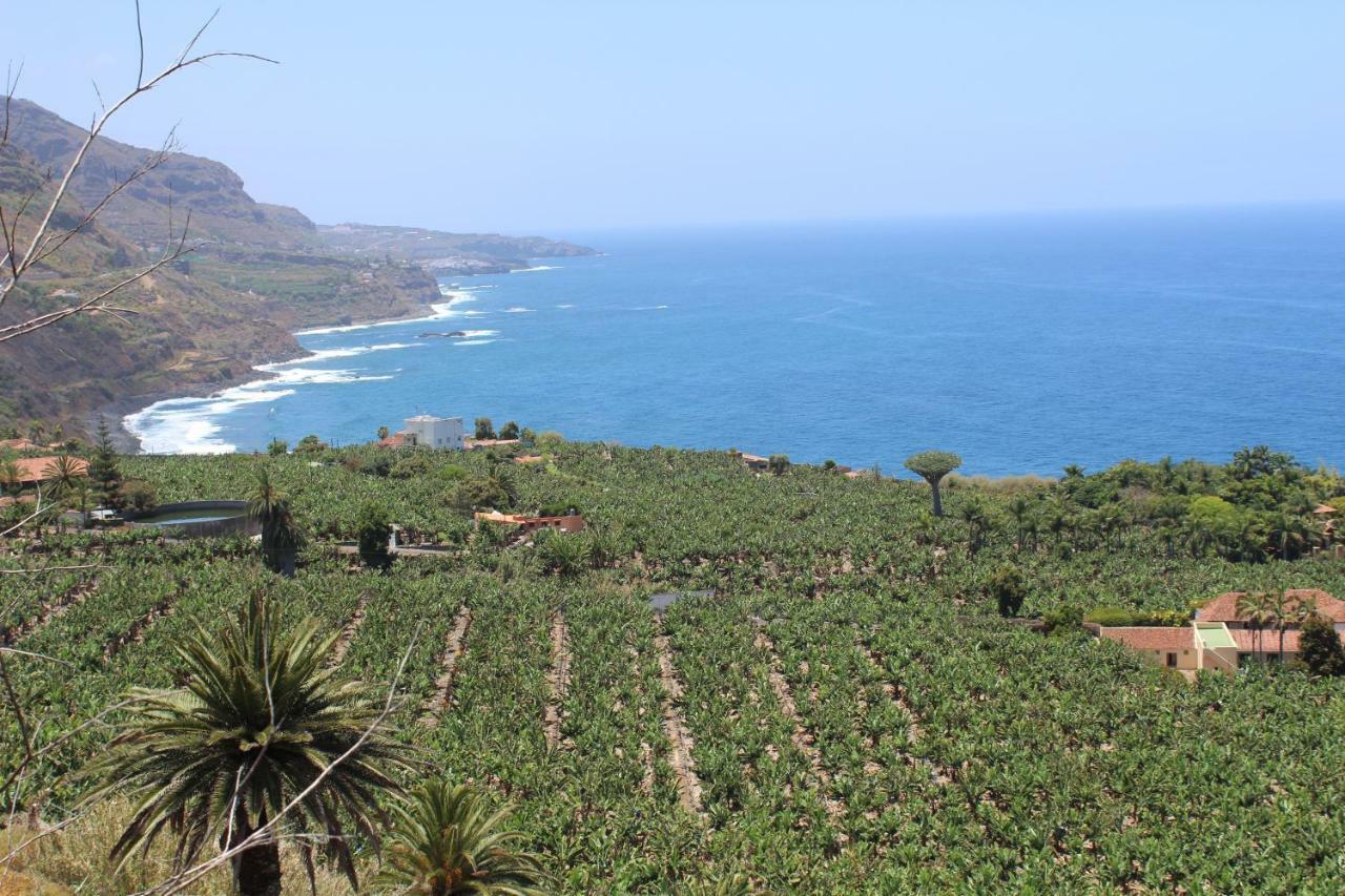 לוס ריאלחוס Holidaynorthtenerife Exotic Apartament מראה חיצוני תמונה