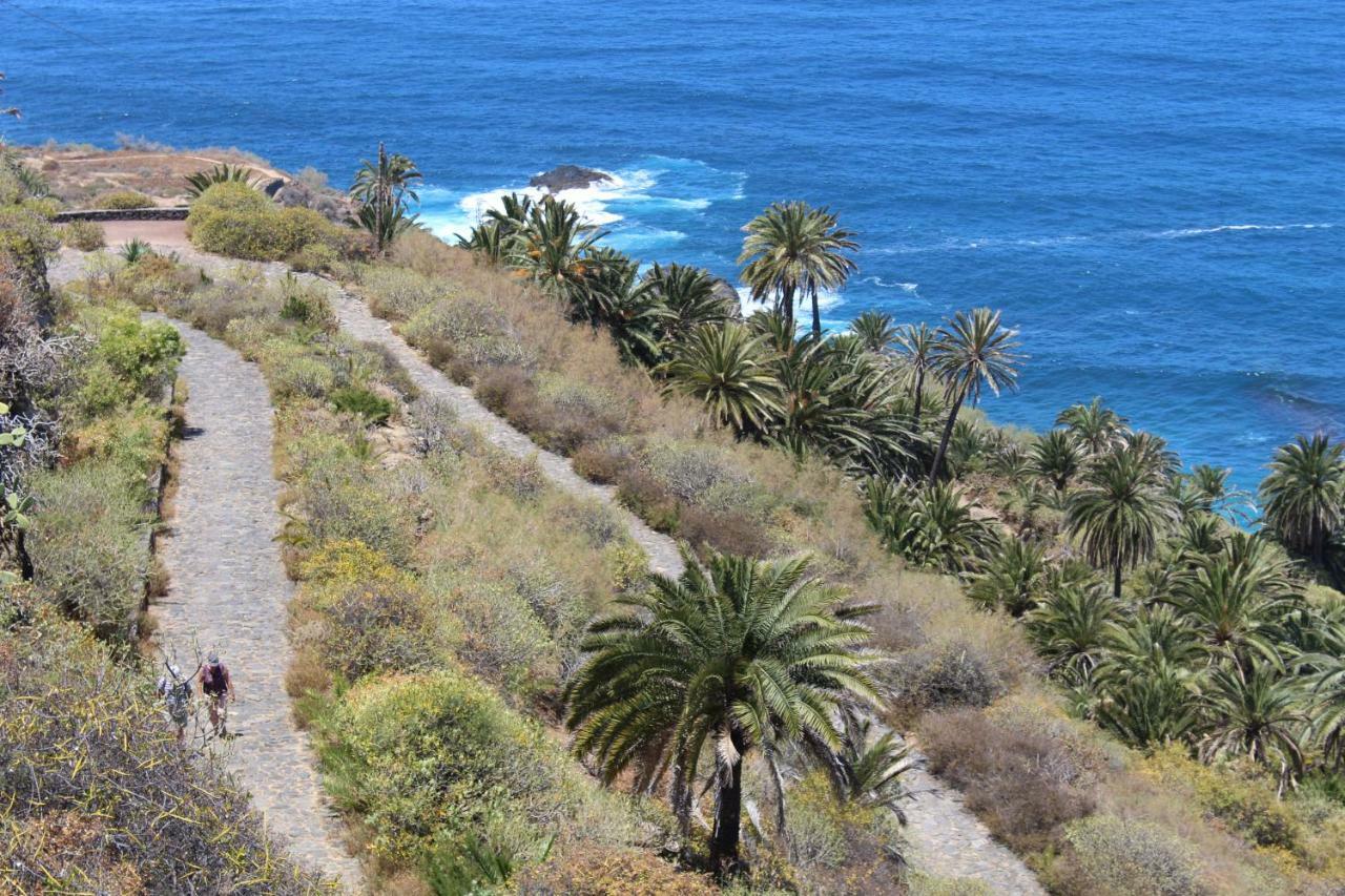 לוס ריאלחוס Holidaynorthtenerife Exotic Apartament מראה חיצוני תמונה